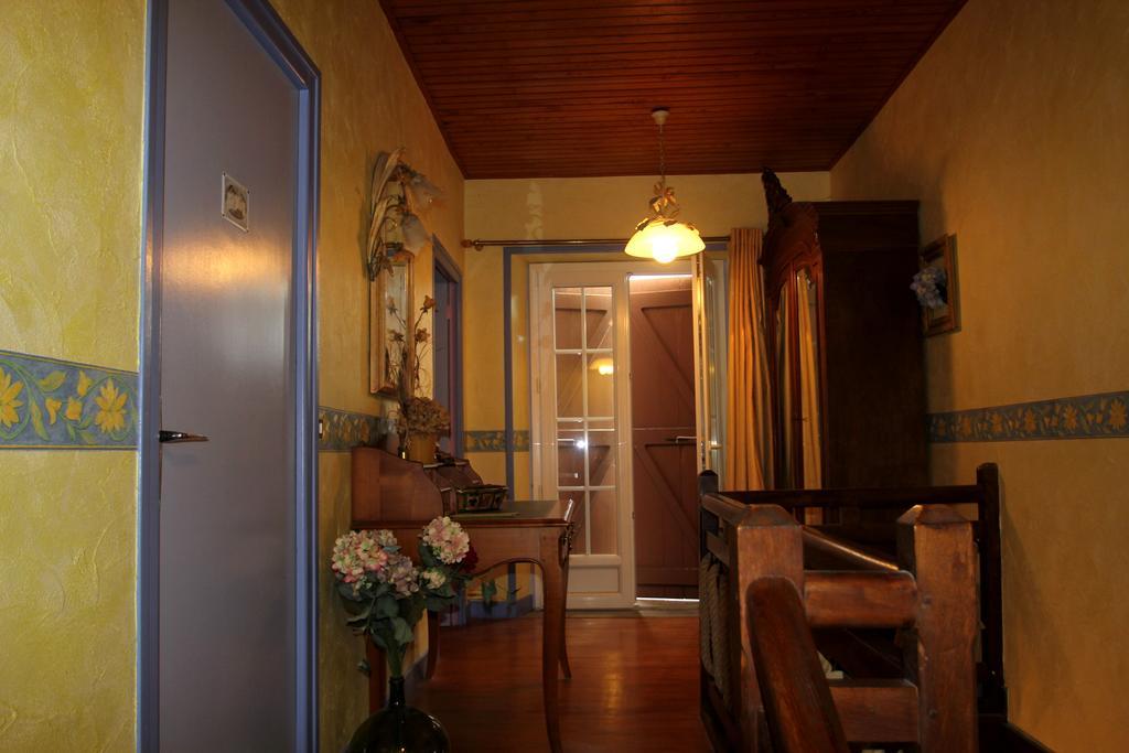 La Maison Des Chats Saint-Mary-le-Plain 외부 사진