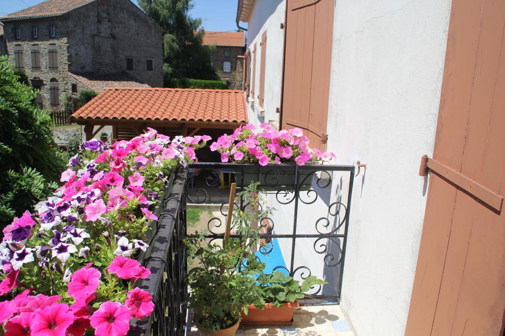 La Maison Des Chats Saint-Mary-le-Plain 외부 사진